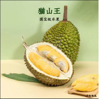 D197 Malaysia Nitrogen Musang King Durian (10KG)-Overseas China D197 Malaysia Nitrogen Musang King Durian (10KG)-Overseas China